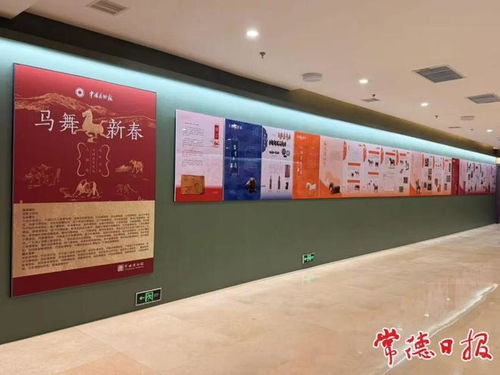 马年赴常德博物馆观马展 一场穿越千年的文化艺术之旅